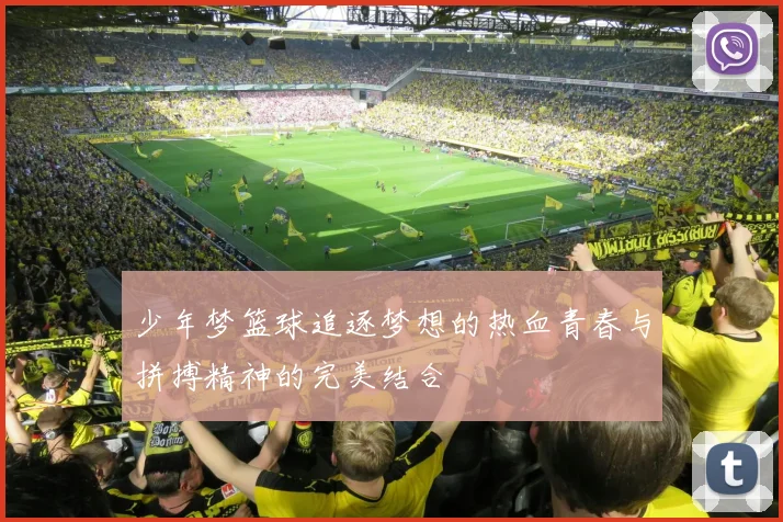 少年梦篮球追逐梦想的热血青春与拼搏精神的完美结合