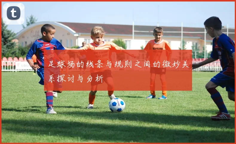 足球场的线条与规则之间的微妙关系探讨与分析